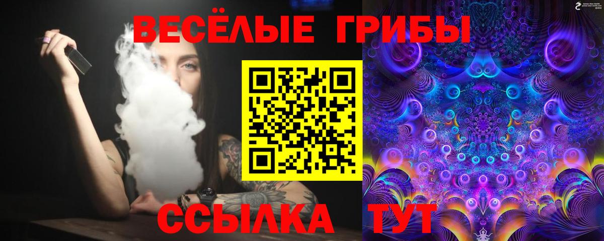 Псилоцибиновые грибы мухоморы Таганрог